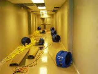 BUILDING FLOOD WATER DAMAGE CLEANING SERVICE