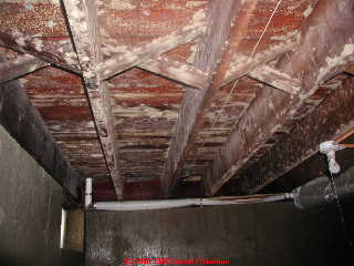 MOLD DAMAGE CLEANING SERVICE